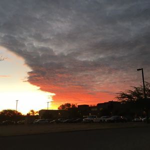 Meet your Posher, Pedro